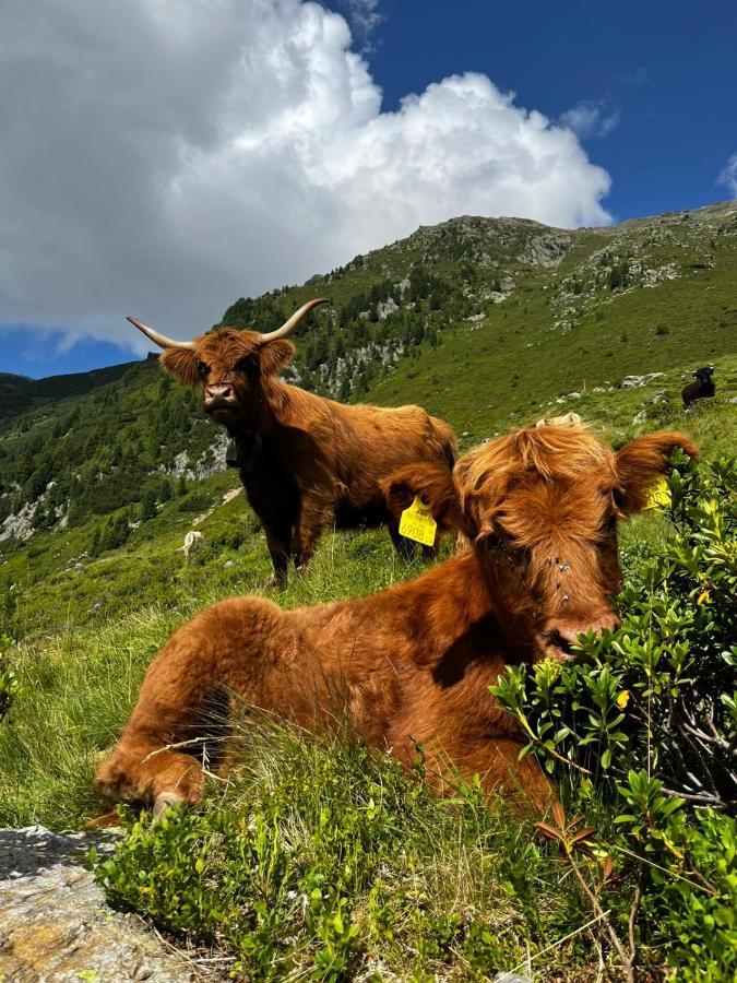Die Acherberg Alm Oetz Kültér fotó